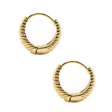 Load image into Gallery viewer, Hoops: 18kt Gold Fill Textured Earrings athenadesigns