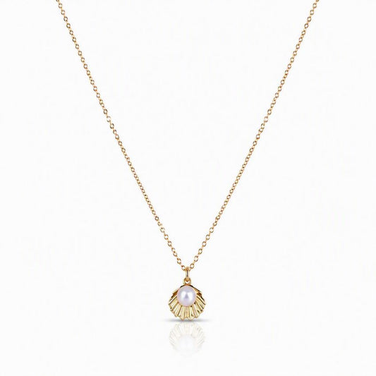 Seashell with Pearl Necklace Necklaces athenadesigns