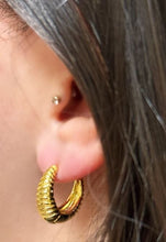 Load image into Gallery viewer, Hoops: 18kt Gold Fill Textured (EGH4440) Earrings athenadesigns 
