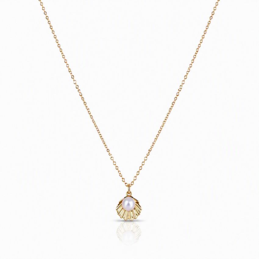 Seashell with Pearl Necklace Necklaces athenadesigns 