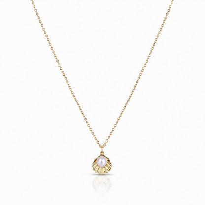 Seashell with Pearl Necklace Necklaces athenadesigns 