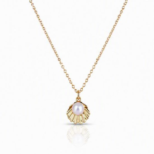 Seashell with Pearl Necklace Necklaces athenadesigns NGCH43SH 